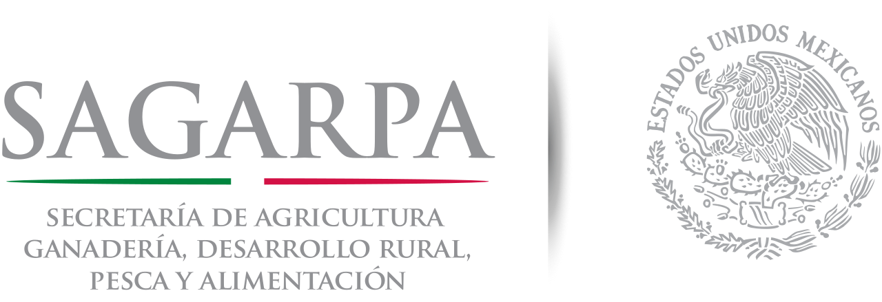 Logo Cliente