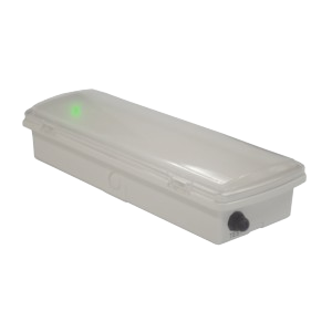 Producto relacionado